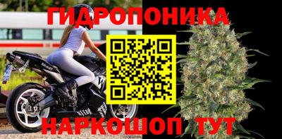 индика Кулебаки