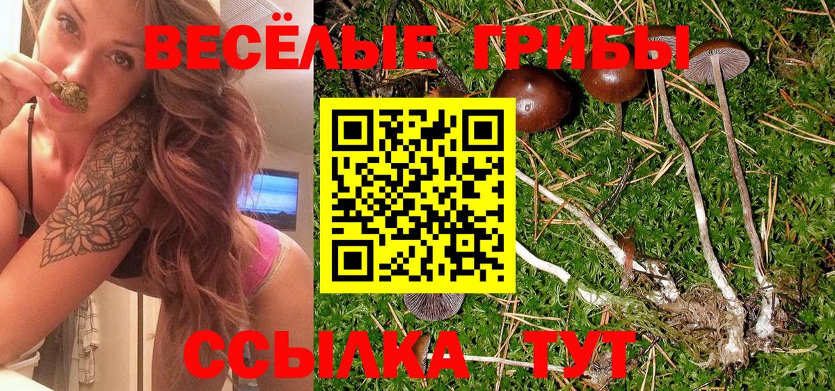 Галлюциногенные грибы Psilocybine cubensis Ишимбай